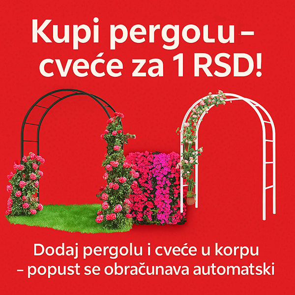 Advertisement popup