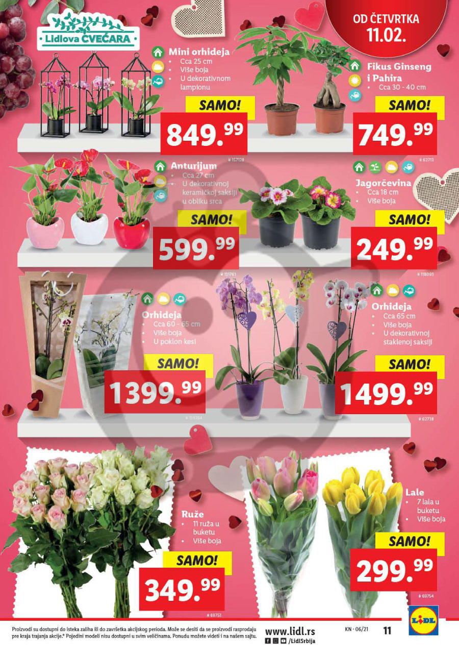 LIDL SRBIJA Katalog Akcija 11 02 17 02 2021 Kuda U Kupovinu lidl-srbija-katalog-akcija-11-02-17-02-2021-kuda-u-kupovinu