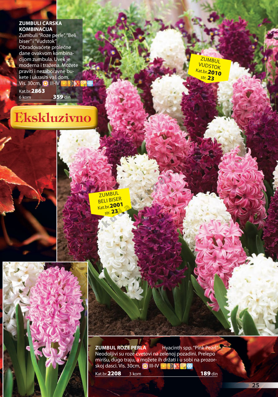 Katalog Akcija