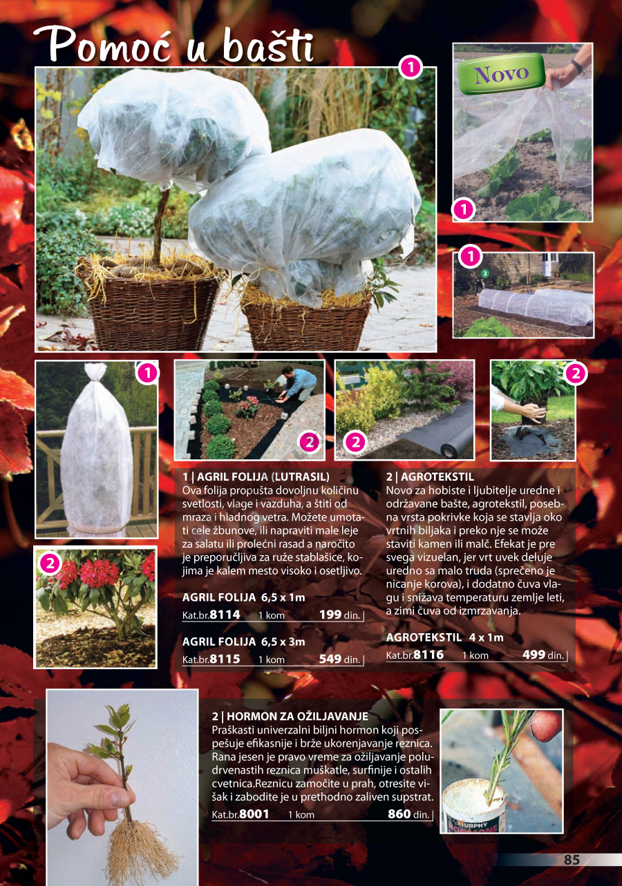 Katalog Akcija