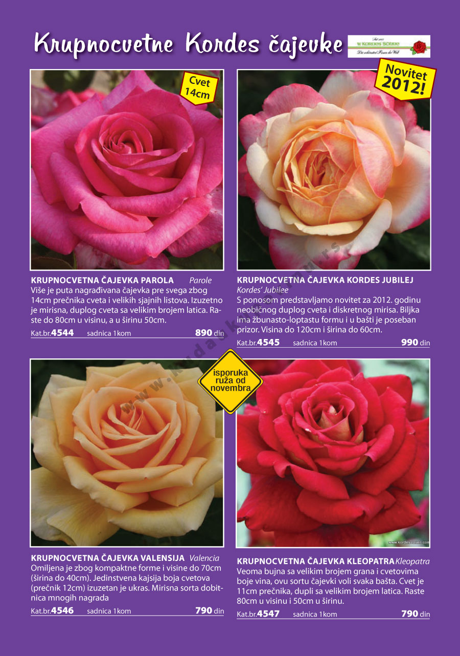 Katalog Akcija