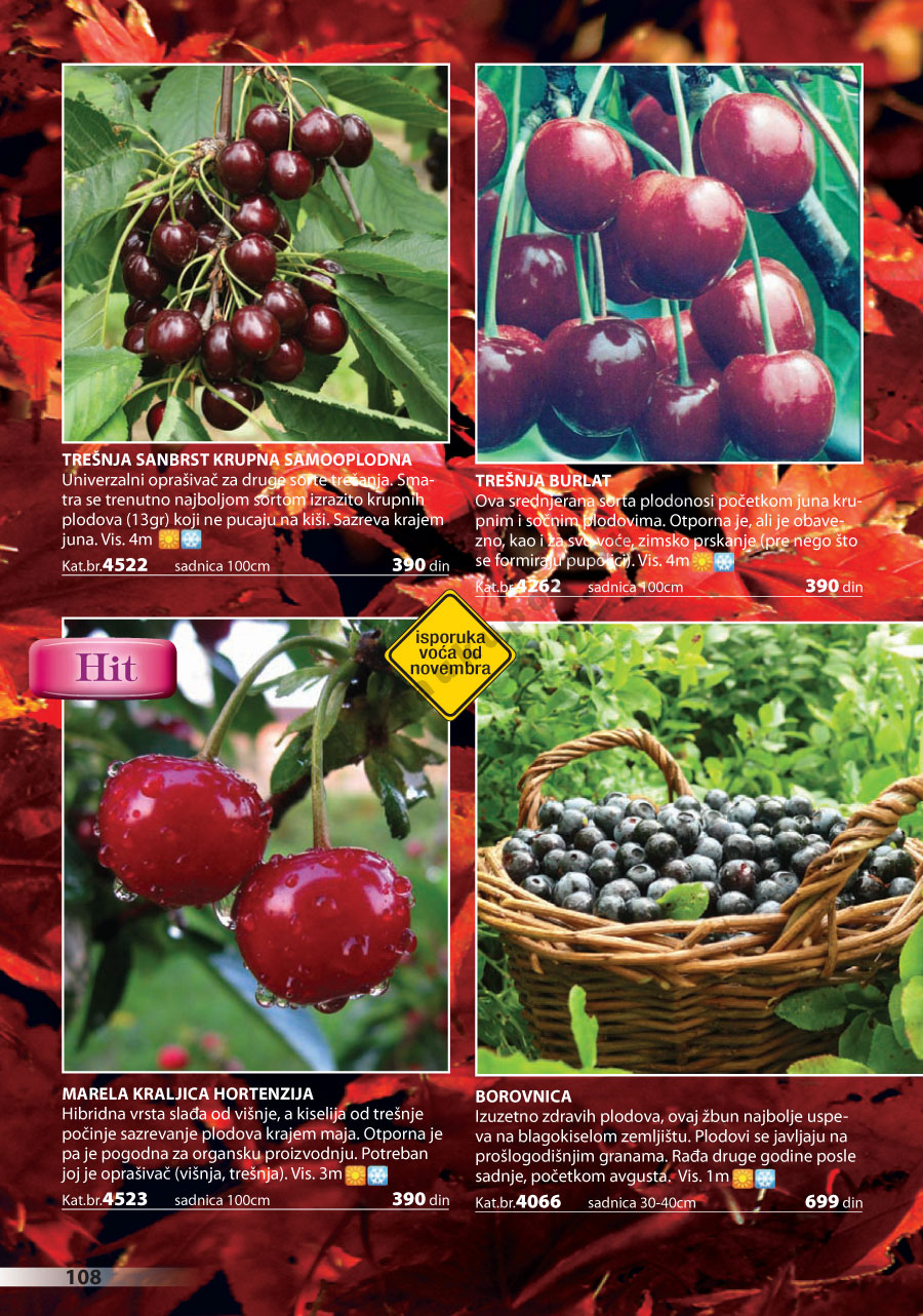 Katalog Akcija