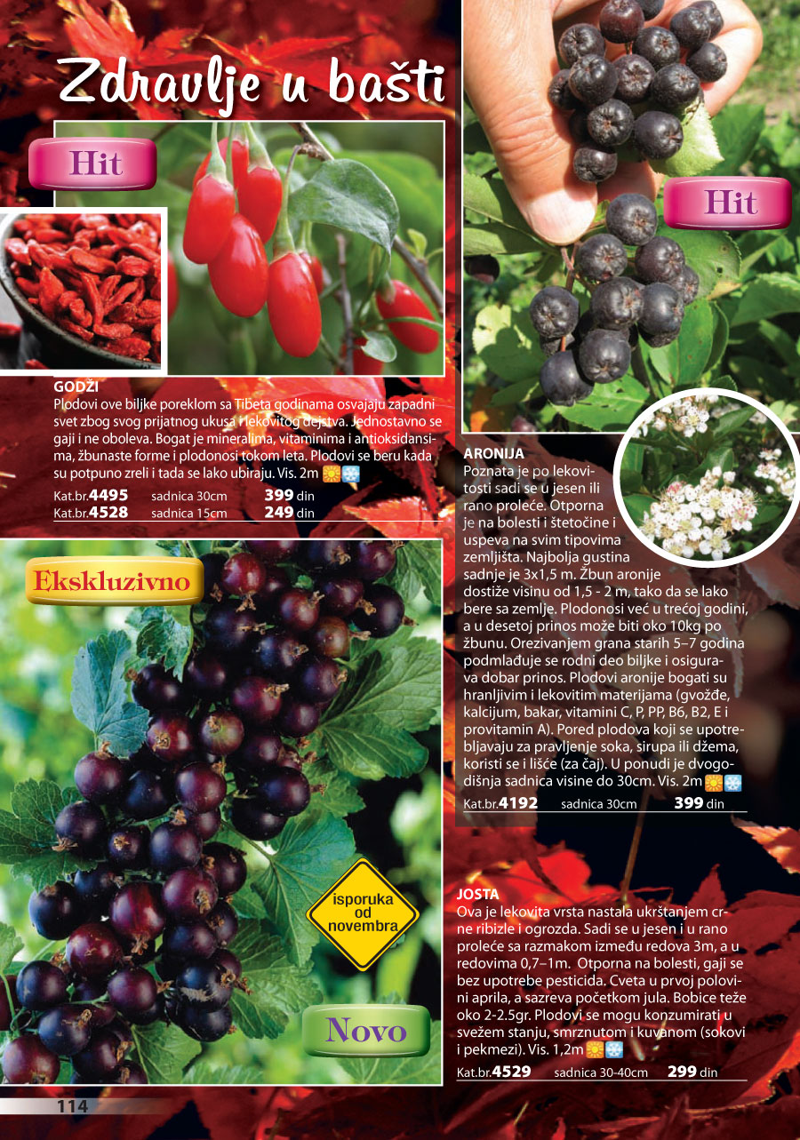 Katalog Akcija
