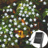 Floral solar lights – Prolećne cvetne LED lampice 6,5m