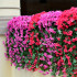 Viseće veštačko cveće - Spring Bloom 