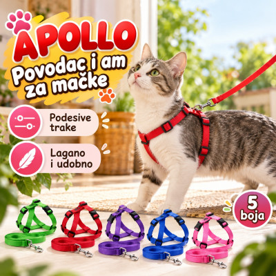 Apollo povodac i am za mačke