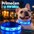 Dog Night out - Svetleća ogrlica za pse
