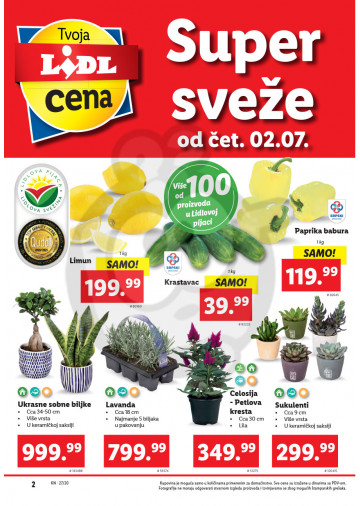 Lidl Srbija Katalog Akcija 02 07 08 07 2020 Kuda U Kupovinu