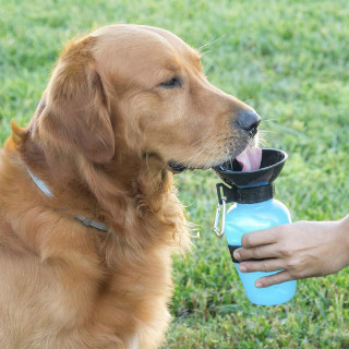 Aqua Dog - Specijalna čaša za pse 