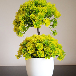 Genesis plant - veštačka dekorativna biljka