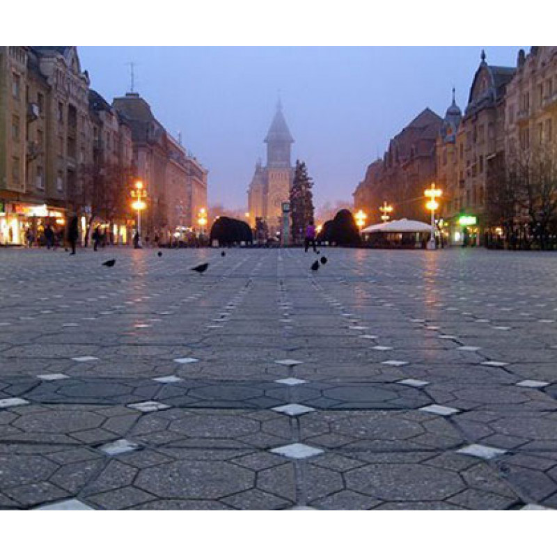 Izlet u Temišvar