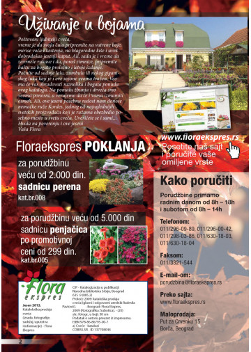 Katalog Akcija
