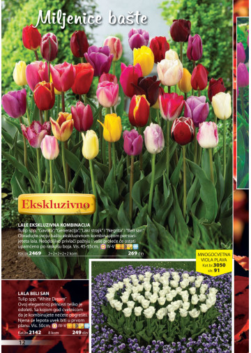 Katalog Akcija