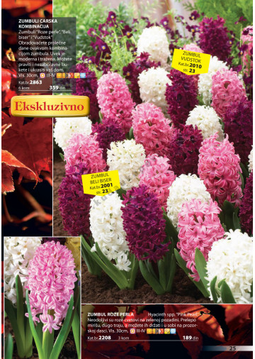 Katalog Akcija