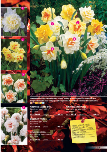 Katalog Akcija