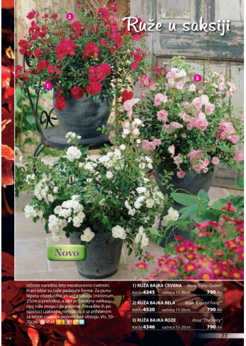Katalog Akcija
