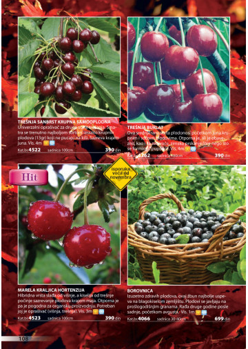 Katalog Akcija