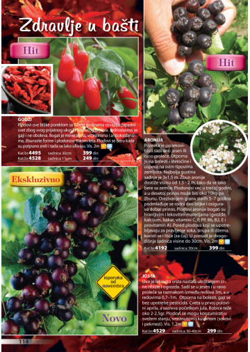 Katalog Akcija