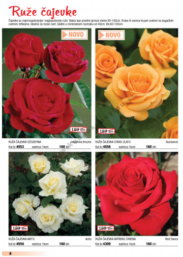Katalog Akcija