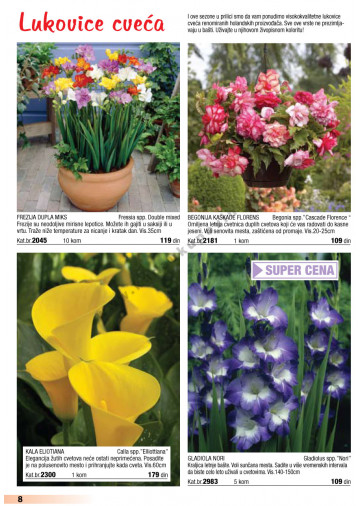Katalog Akcija