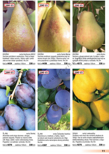 Katalog Akcija