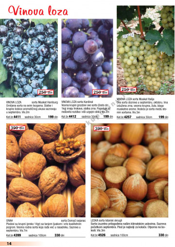 Katalog Akcija