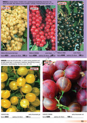 Katalog Akcija