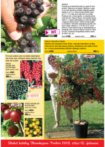 Katalog Akcija