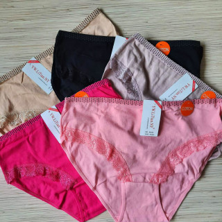 Classic Lace - Plus size ženske gaćice sa čipkom i tačkicama