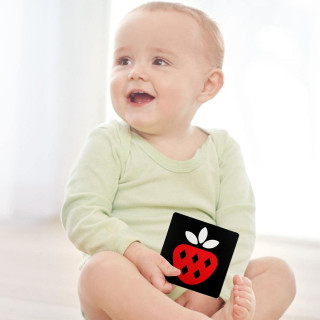 Baby Vision level 2- trobojne kartice za bebe (3-6 meseci)