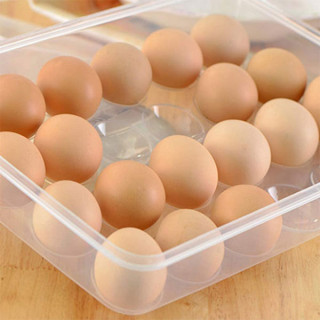 Egg box - 24 u 1 kutija za skladištenje jaja