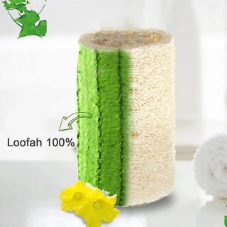 Prirodna lufa četka za kupanje sa drškom