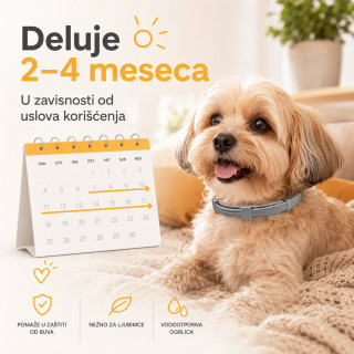 Vodootporna ogrlica protiv buva za mačke i male pse do 37 cm