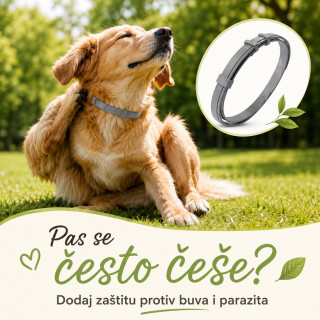Vodootporna podesiva ogrlica protiv buva za veće pse do 62 cm