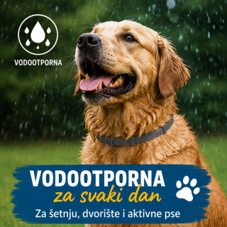 Vodootporna podesiva ogrlica protiv buva za veće pse do 62 cm