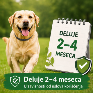 Vodootporna podesiva ogrlica protiv buva za veće pse do 62 cm