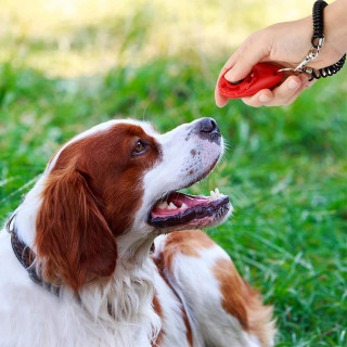 Dog Training Clicker - Narukvica sa priveskom za dresuru psa