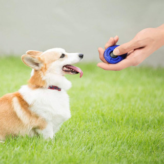 Dog Training Clicker - Narukvica sa priveskom za dresuru psa