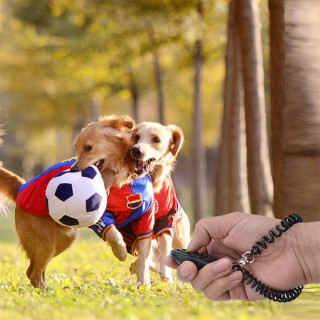 Dog Training Clicker - Narukvica sa priveskom za dresuru psa