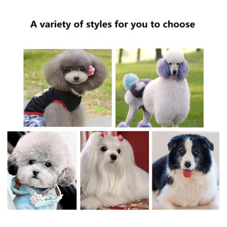 Pet Scissors - Makaze za bezbedno šišanje pasa