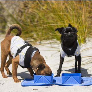 Folding pet dog bowl - dupla silikonska posuda za pse i mačke