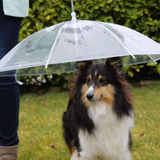 Pet umbrella - Kišobran za kućne ljubimce sa ugrađenim povodcem