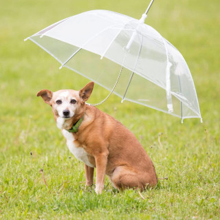 Pet umbrella - Kišobran za kućne ljubimce sa ugrađenim povodcem