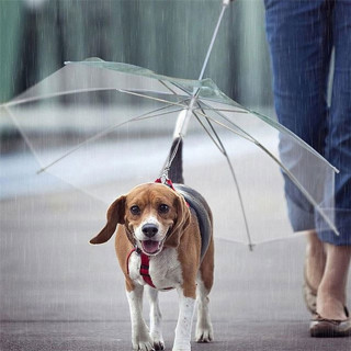 Pet umbrella - Kišobran za kućne ljubimce sa ugrađenim povodcem