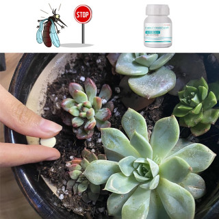 Magične tablete za uklanjanje insekata sa biljaka
