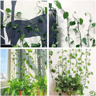 Plant clips - listići držači za biljke