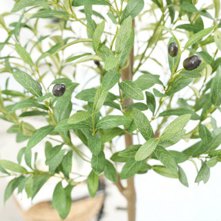 Oliva Mediterraneo - veštačko drvo masline 120cm