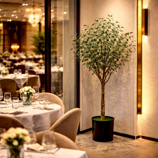 Oliva Mediterraneo - veštačko drvo masline 120cm