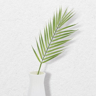 Palm Leaf - Veštača grana palme