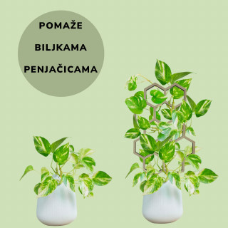 Kreativna penjačica - Fiksni stalak za cveće BEE GRID